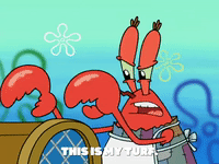 season 5 GIF by SpongeBob SquarePants