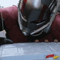 Ant Man GIF by Marvel Studios
