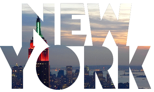 new york city nyc GIF by Vevo