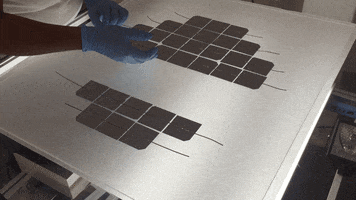 studio-vpr goat machine lab whale GIF