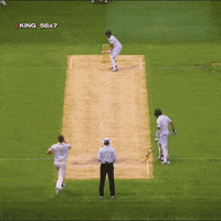 Babar Azam Crown GIF