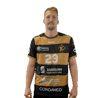 Handball Dresden Sticker by DAIKIN HBL