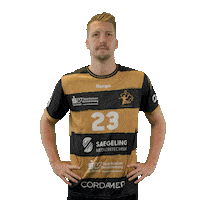 Handball Dresden Sticker by DAIKIN HBL