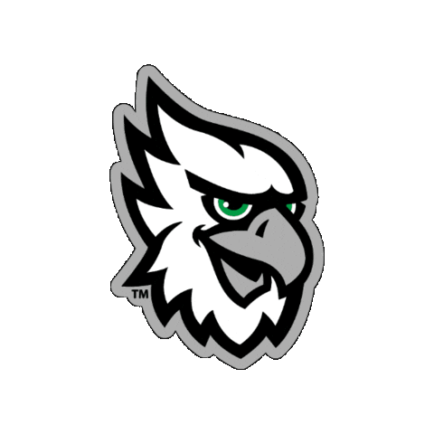 North Dakota Hawks Sticker by University of North Dakota