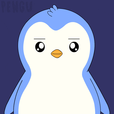 Penguin What GIF by Pudgy Penguins