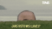 Buscando George Clooney GIF by Travis