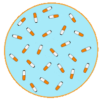 Zero Waste Clean Ocean Sticker