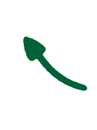 Green And Gold Arrow Sticker by CLT Admissions