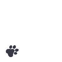 Too Cute Cats Sticker