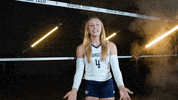 Georgia Tech Volleyball GIF by Georgia Tech Yellow Jackets