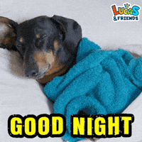 Good Night Dog GIF by Lucas and Friends by RV AppStudios