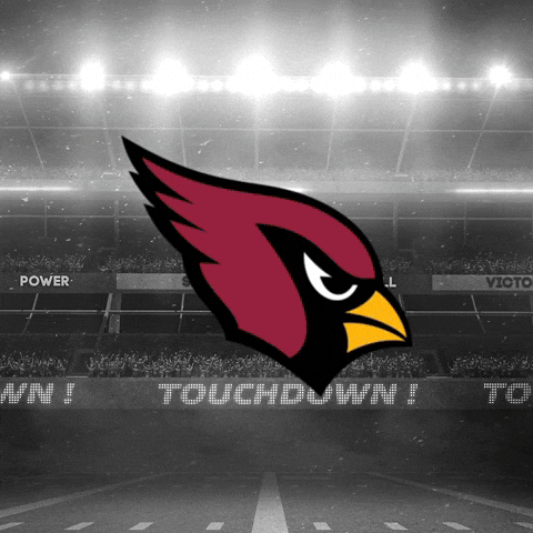 Super Bowl Nfl GIF by DraftKings