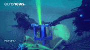 Scuba Diving Underwater Camera GIF by euronews