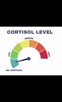 Cortisol GIF