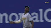 Sport Wow GIF by MLB
