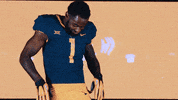 College Football GIF by WVU Sports