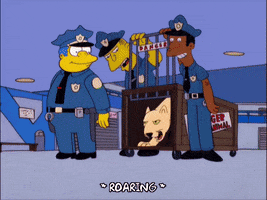 season 11 episode 20 GIF