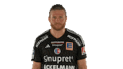 Handball-Bundesliga Handball Sticker by LIQUI MOLY HBL