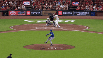 Blue Jays Baseball GIF by Toronto Blue Jays