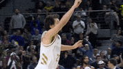 Real Madrid Basketball GIF by ACB