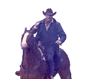 Hallmark Channel Horse Sticker
