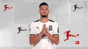 Borussia Moenchengladbach Thank You GIF by Bundesliga