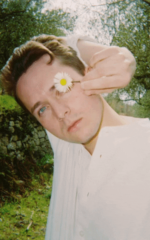 dianesagnier giphyupload GIF