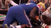florida GIF