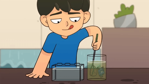 tonimationn giphyupload animation meme fish GIF