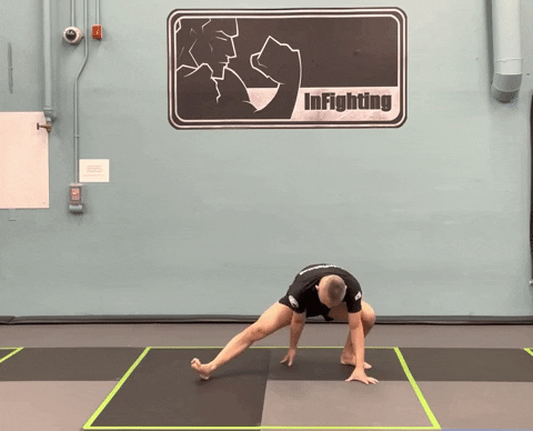 ritchieyip giphygifmaker left kickboxing warm up GIF