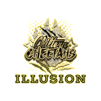 Cc Illusion Sticker by Chiltern Cheetahs