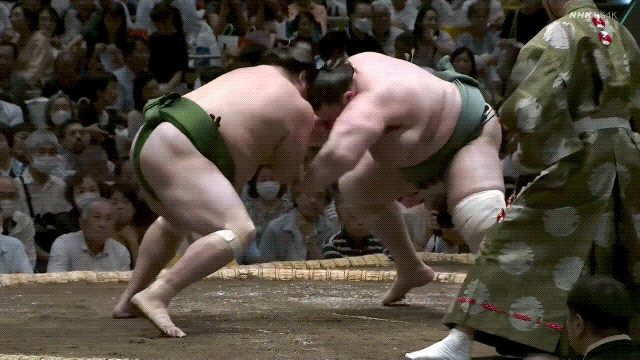TZ85 giphyupload sumo 2023 aki basho sadanoumi GIF