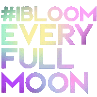 full moon night Sticker