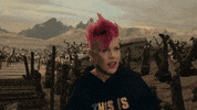 Dave Meyers GIF by P!NK