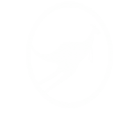Jump Sky Sticker by SkySwingRoatan