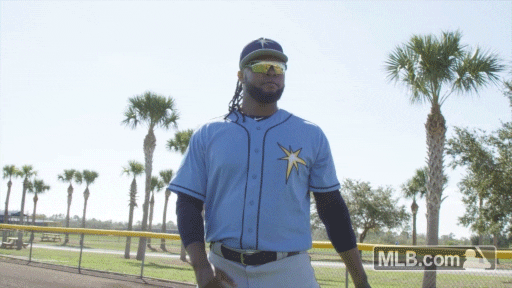 Tampa Bay Rays Sport GIF by MLB
