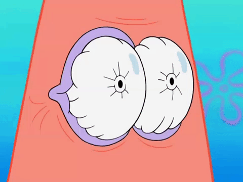 season 8 episode 20 GIF by SpongeBob SquarePants