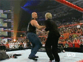 stunner GIF