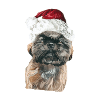 Binisignature Sticker