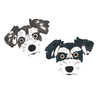 Dog Love Sticker