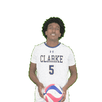Clarke Pride Sticker by Clarke University