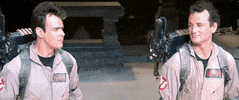 GIF by Ghostbusters 