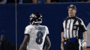 2018 Nfl Football GIF by NFL