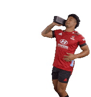 Super Rugby Sticker by CrusadersRugbyTeam