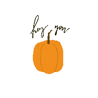 polyasoroka pumpkin heloween sorokaart heloween pumpkin Sticker
