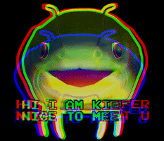 ki3f3r hello hi catfish kiefer GIF