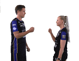 Floorball Salibandy Sticker by F-liiga