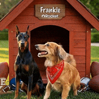 GIF by Rocket Mortgage