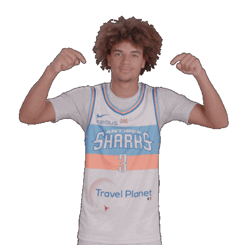 Sharksantibes Sticker by Antibes Sharks