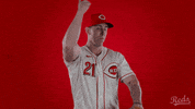 Michael Lorenzen Baseball GIF by Cincinnati Reds